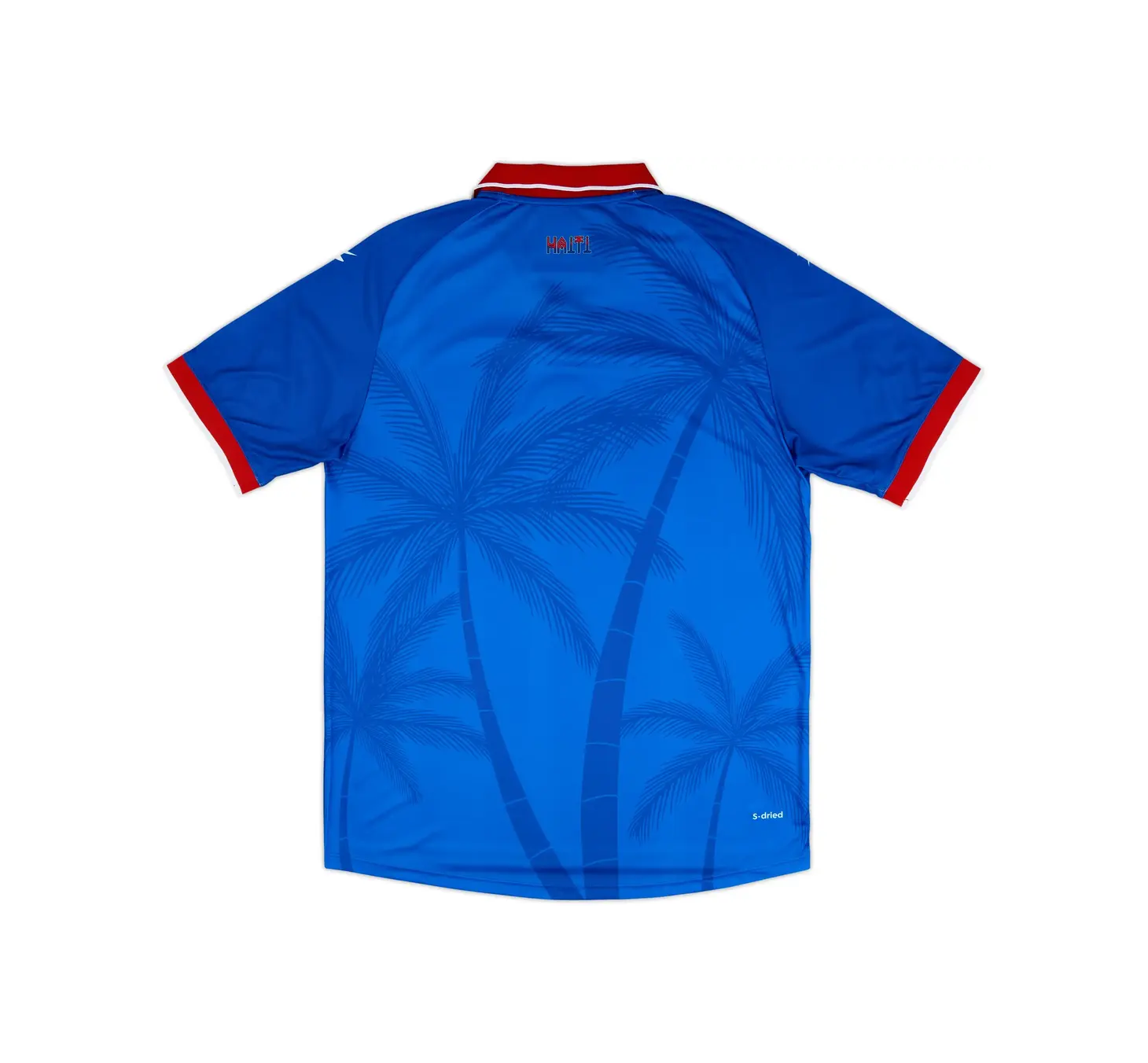 2026-2027 HAITI HOME FAN JERSEY